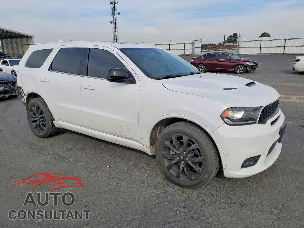 DODGE DURANGO 2019 - 1C4SDJCT6KC817600