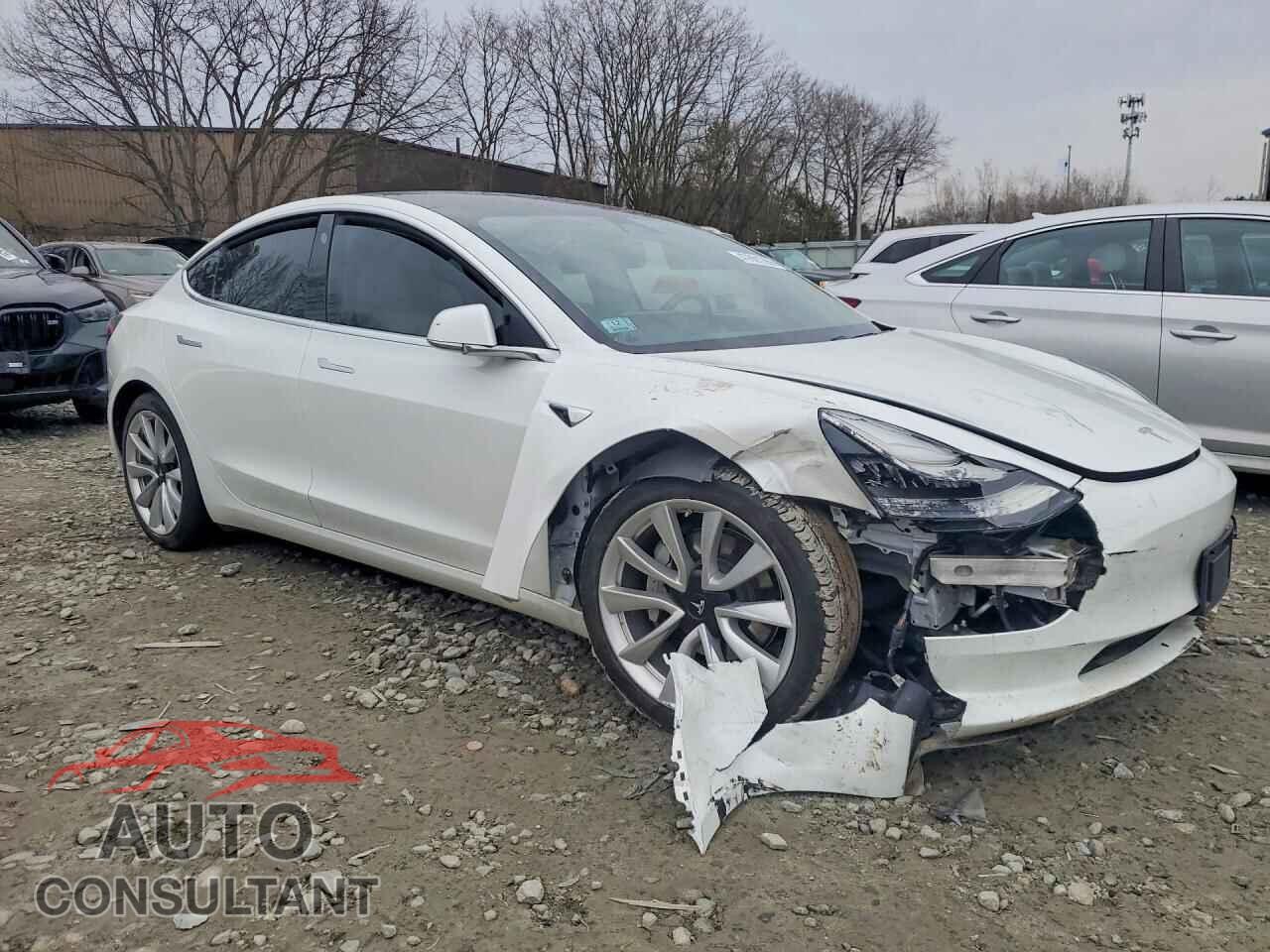 TESLA MODEL 3 2019 - 5YJ3E1EB3KF195594