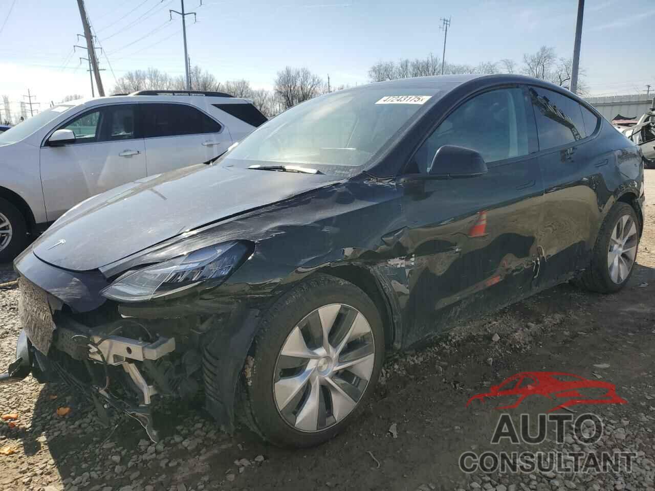 TESLA MODEL Y 2022 - 7SAYGAEE5NF567017
