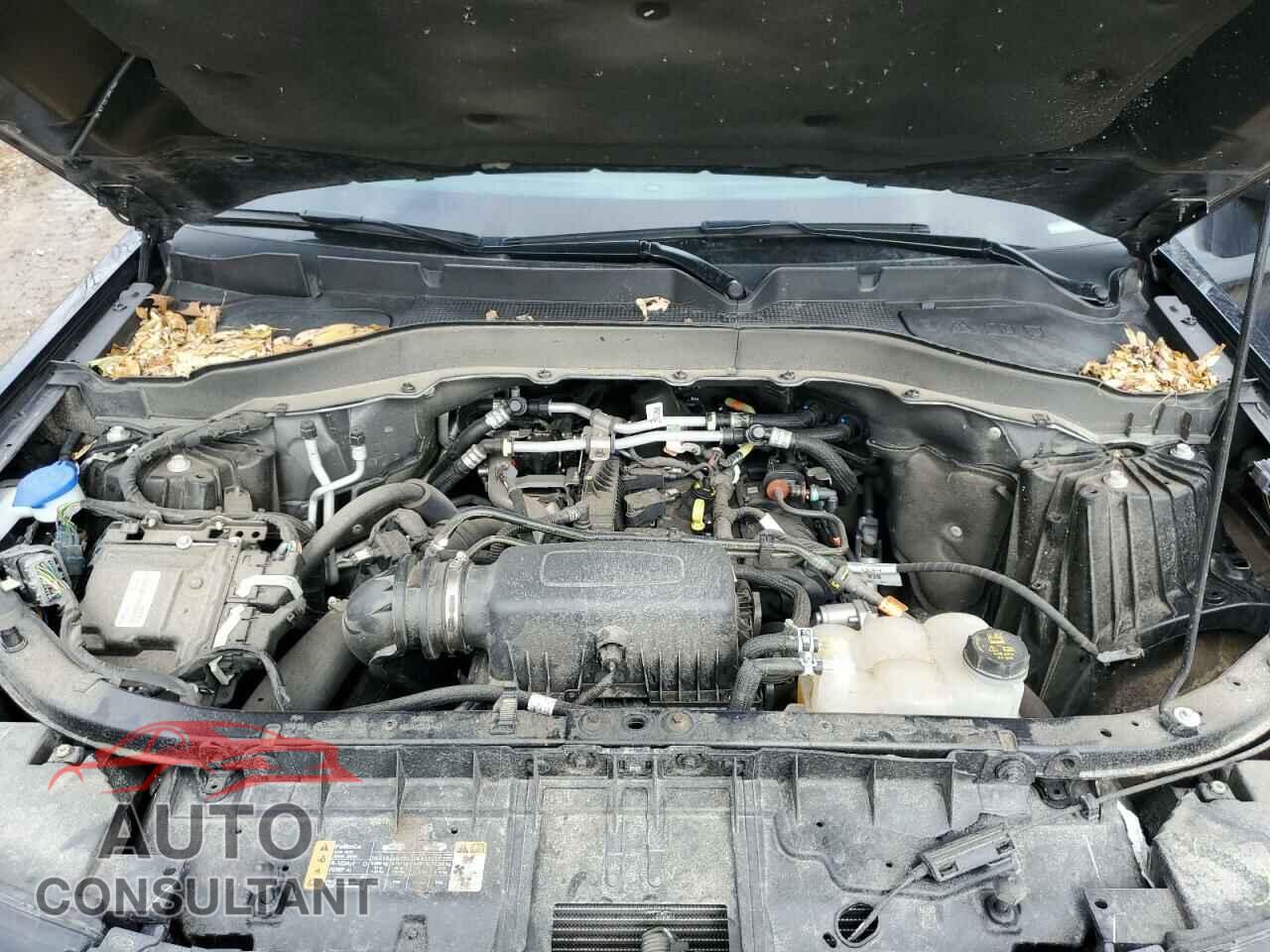 FORD EXPLORER 2023 - 1FMSK8DH9PGB34505