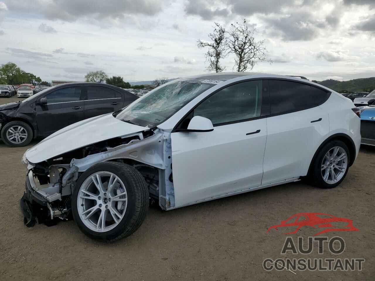 TESLA MODEL Y 2023 - 7SAYGDEEXPF816254