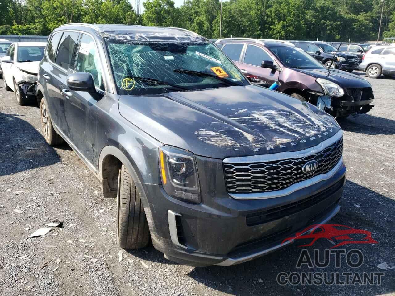 KIA TELLURIDE 2021 - 5XYP6DHC5MG155565