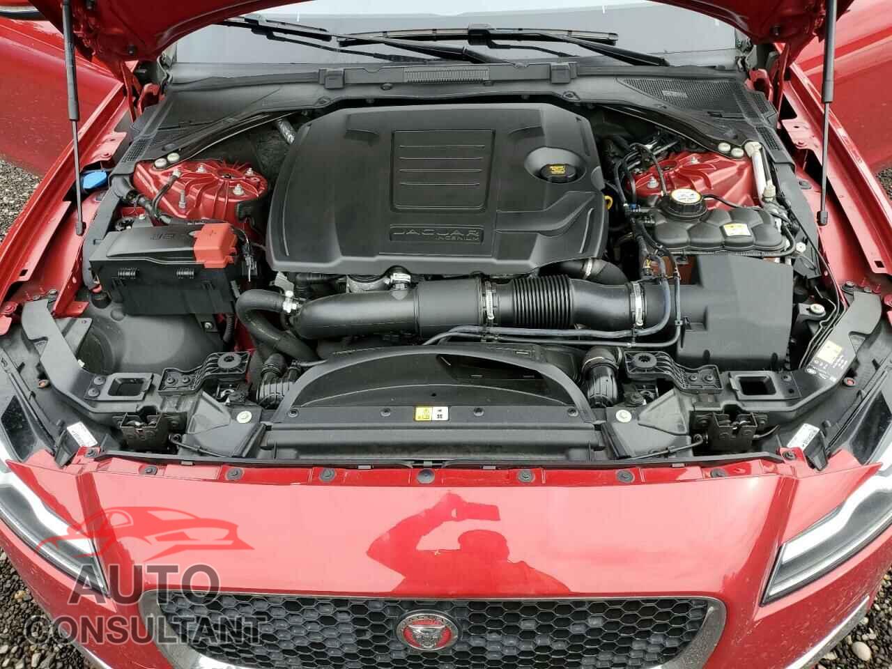 JAGUAR XF 2019 - SAJBK4GX2KCY77458