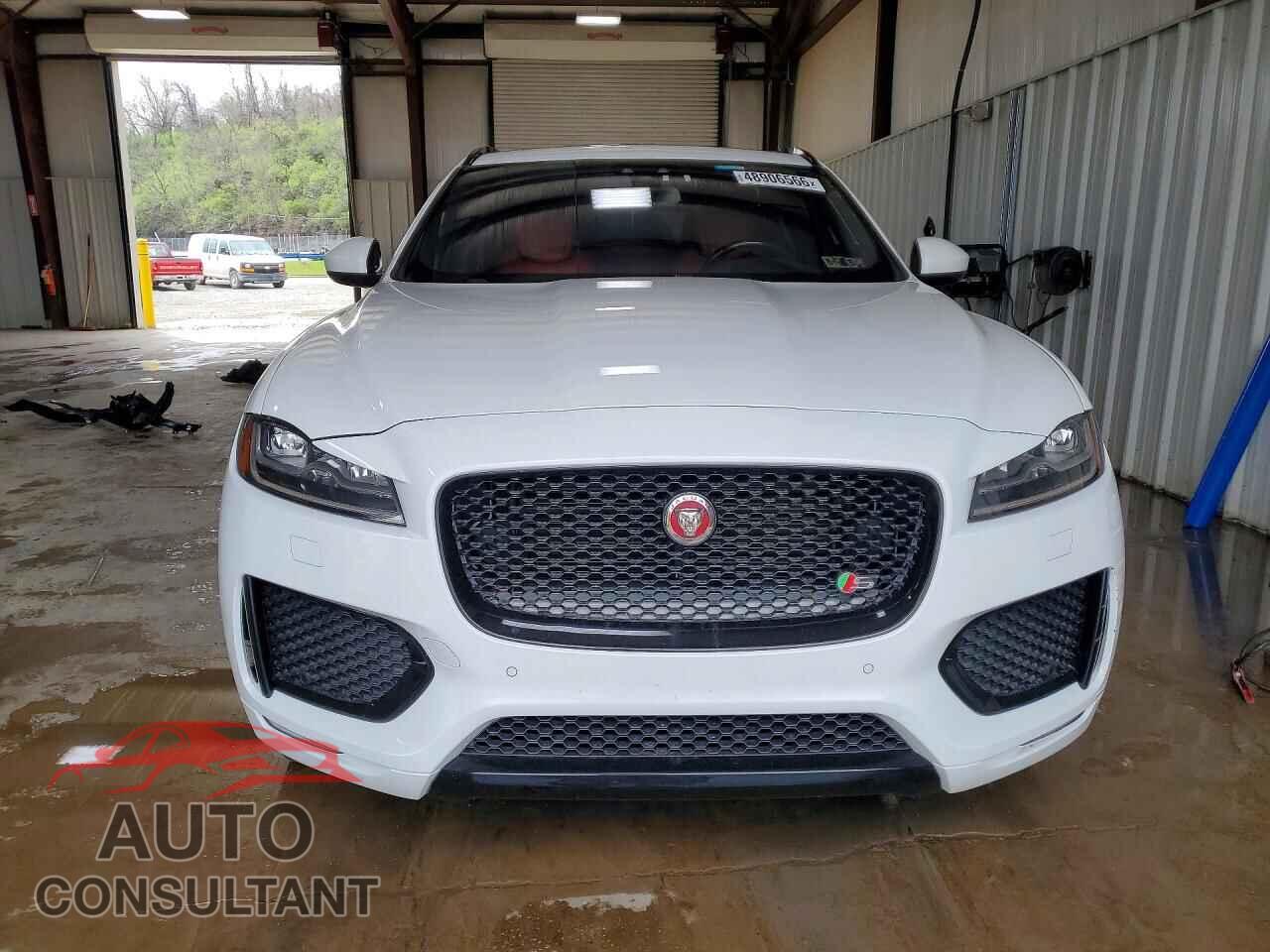 JAGUAR F-PACE 2017 - SADCM2BV8HA080244