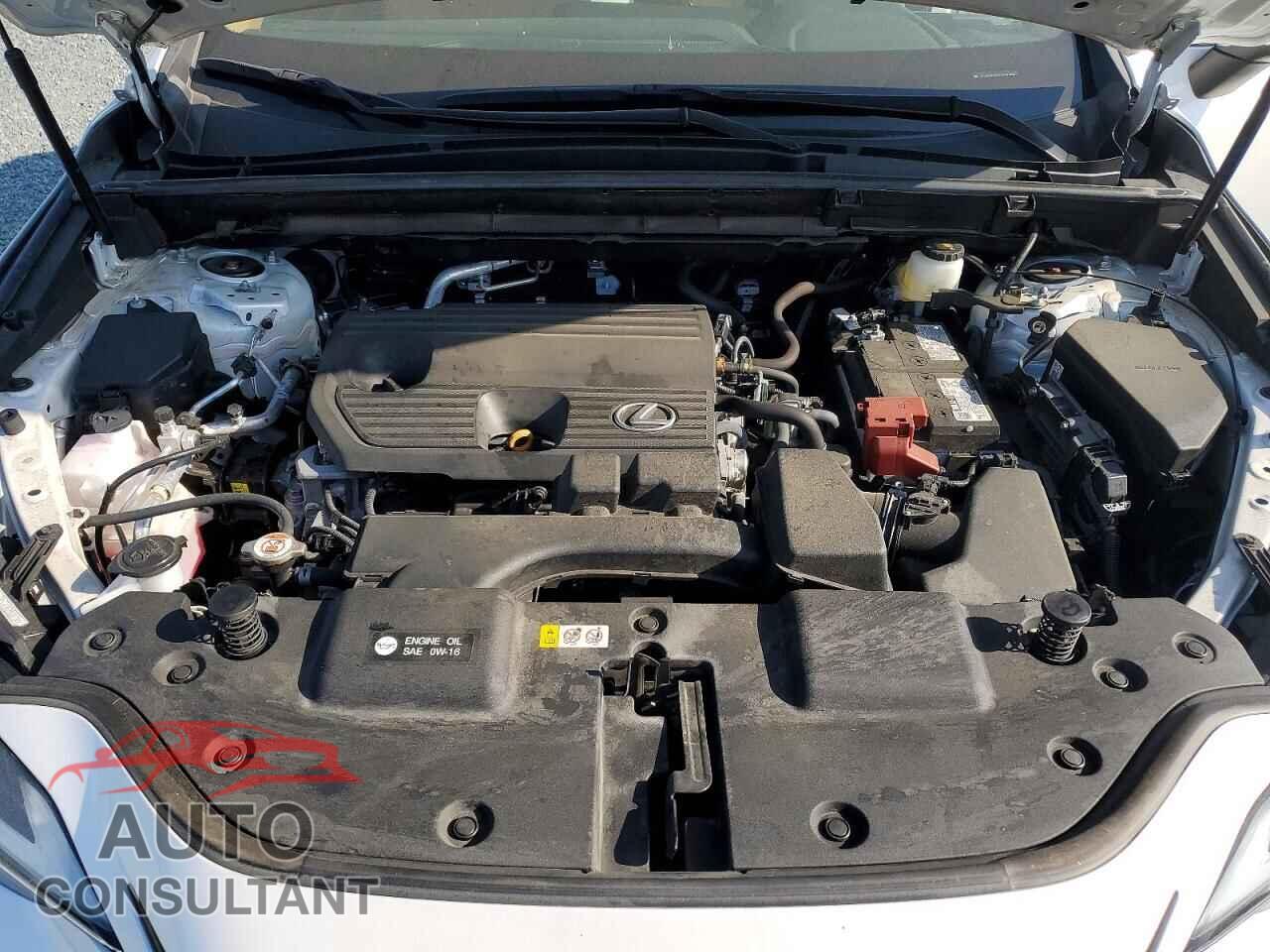 LEXUS UNKNOWN 2025 - 2T2GDCAZXSC016325