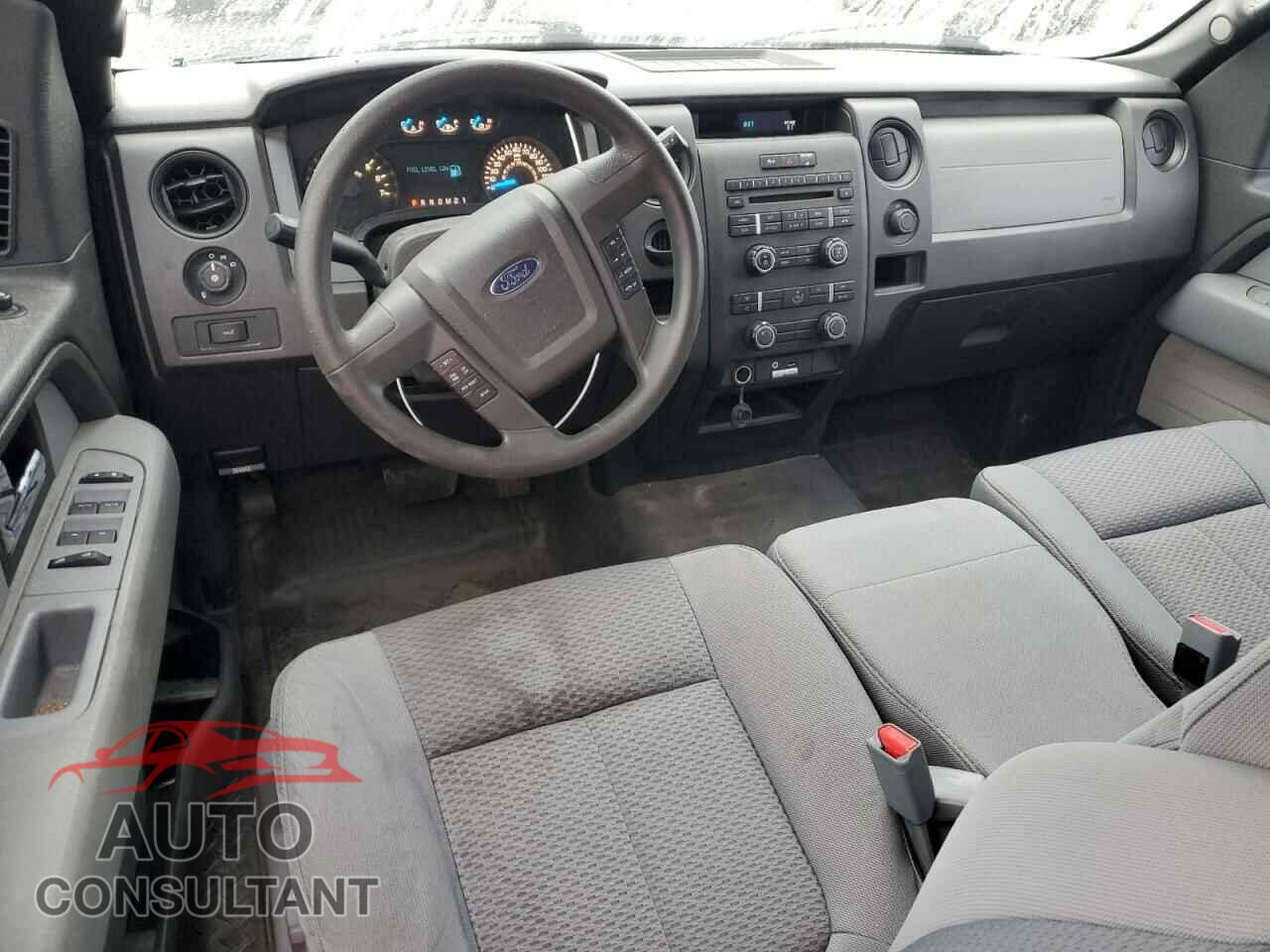 FORD F-150 2013 - 1FTFX1CF9DFA77271