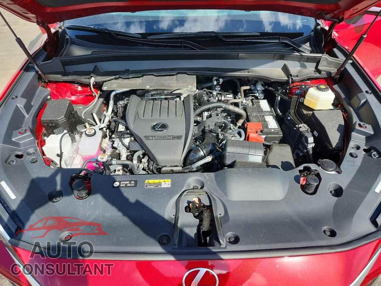 LEXUS UNKNOWN 2026 - 5TDAAAB6XTS058448