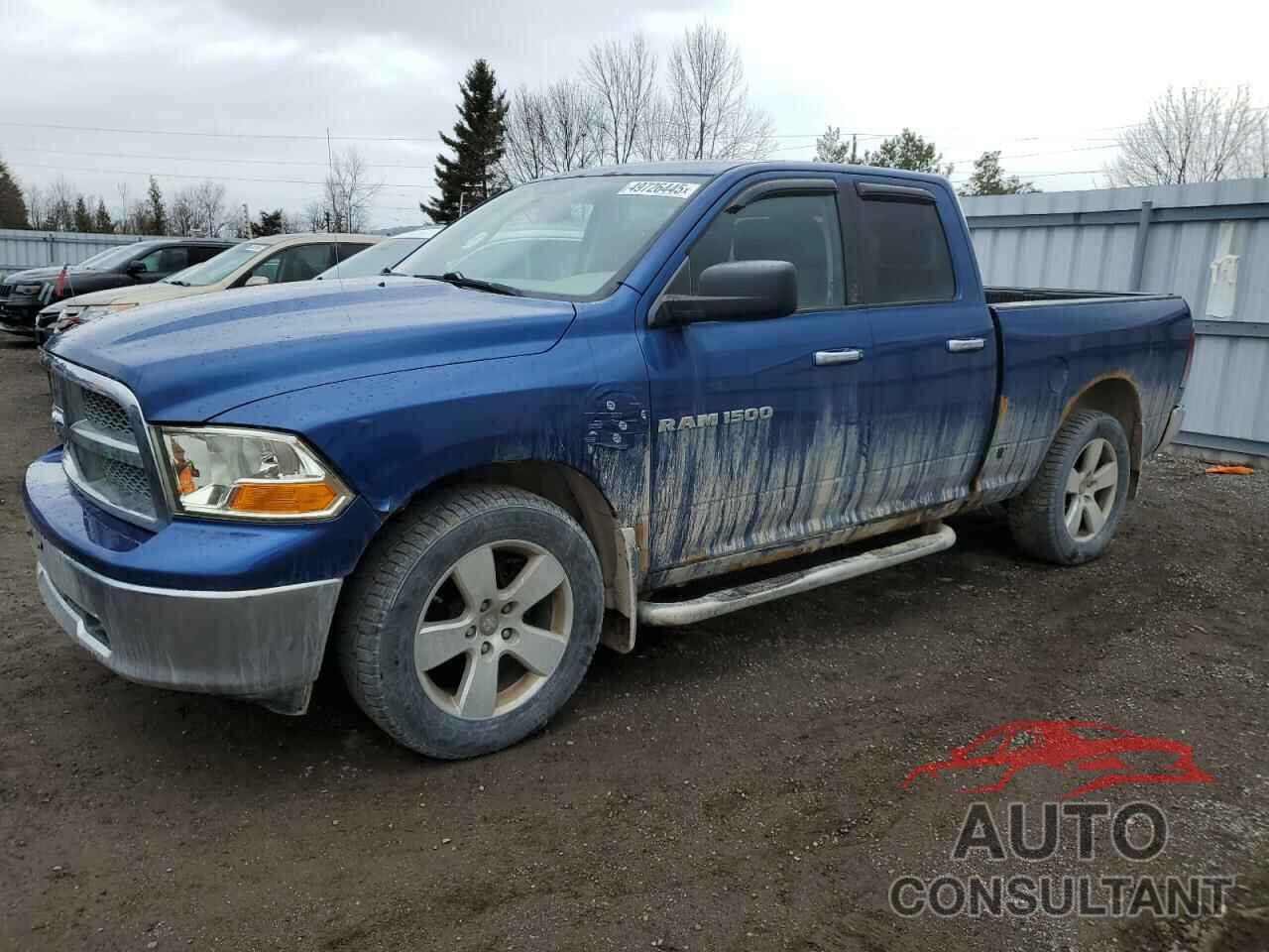 DODGE All Models 2011 - 1D7RV1GT6BS551965
