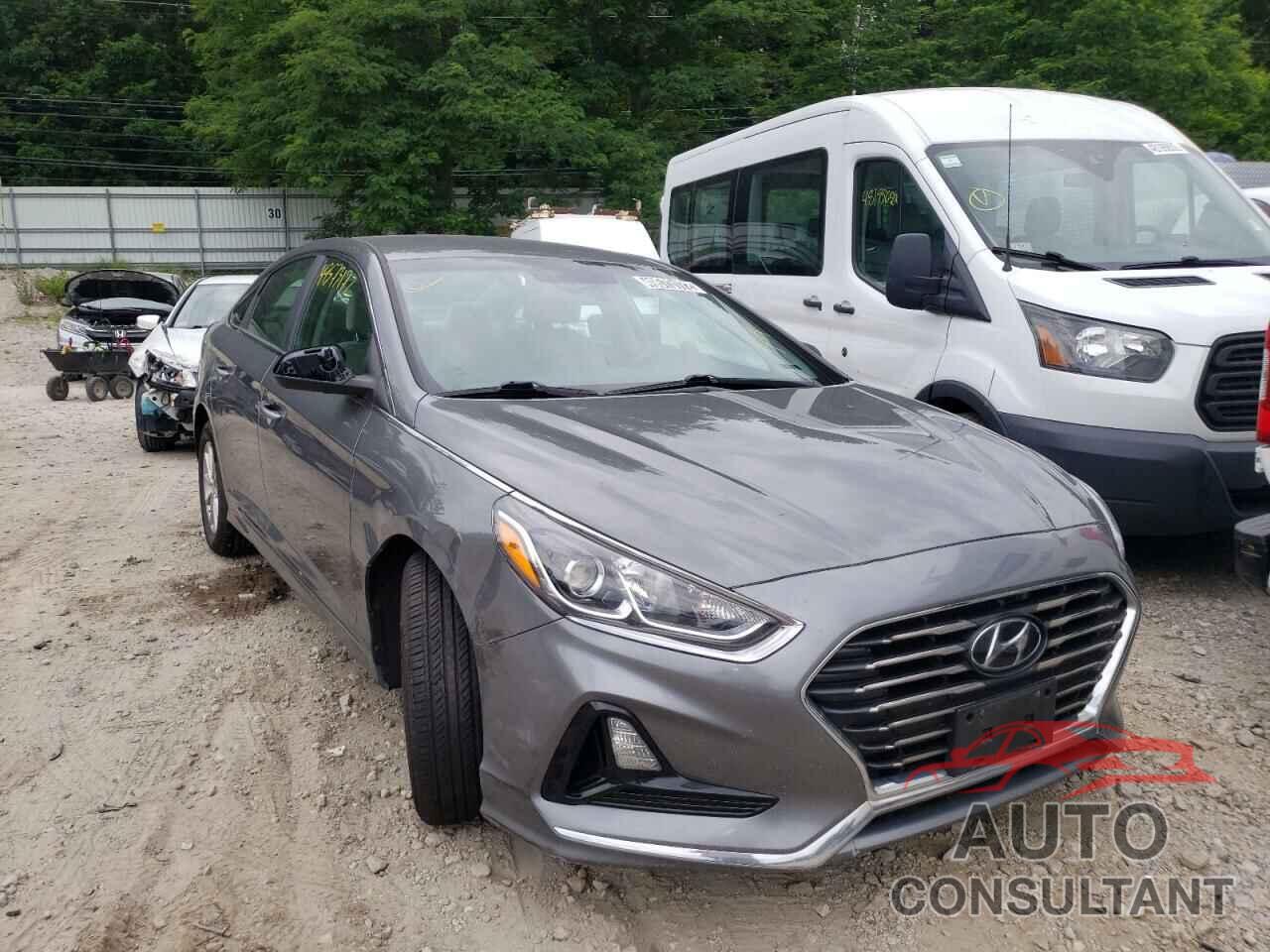 HYUNDAI SONATA 2019 - 5NPE24AF4KH800168