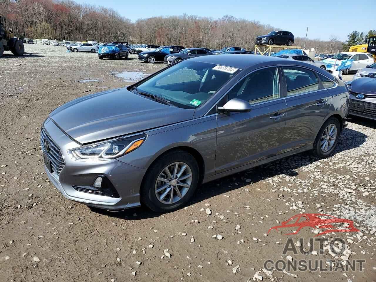 HYUNDAI SONATA 2018 - 5NPE24AF5JH648657