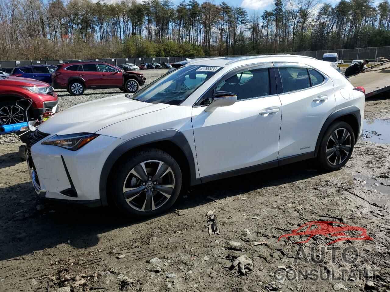 LEXUS UX 250H 2020 - JTHP9JBH3L2021476