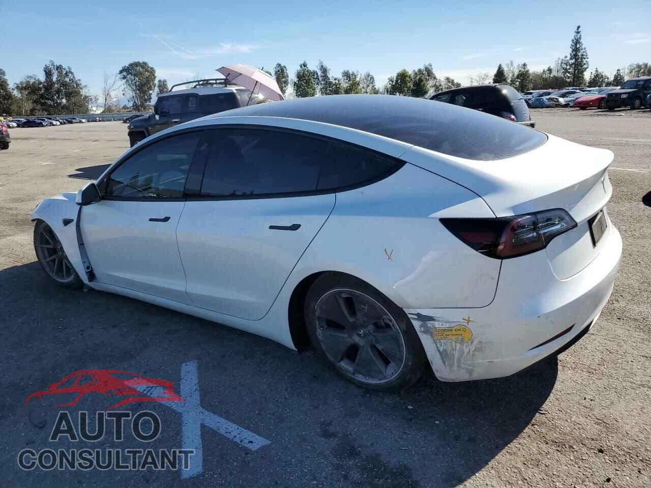TESLA MODEL 3 2021 - 5YJ3E1EA9MF088284