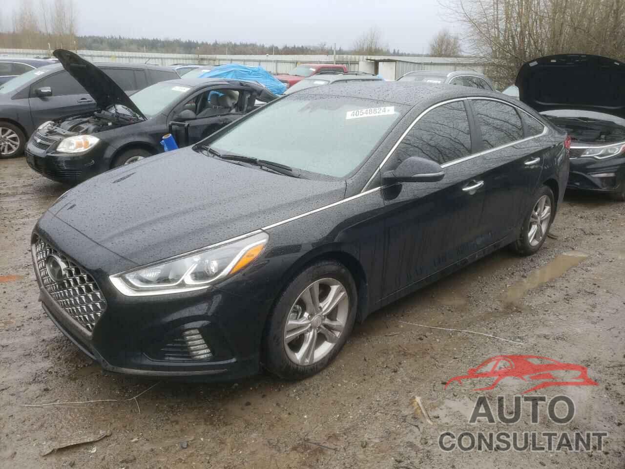 HYUNDAI SONATA 2019 - 5NPE34AF6KH790627