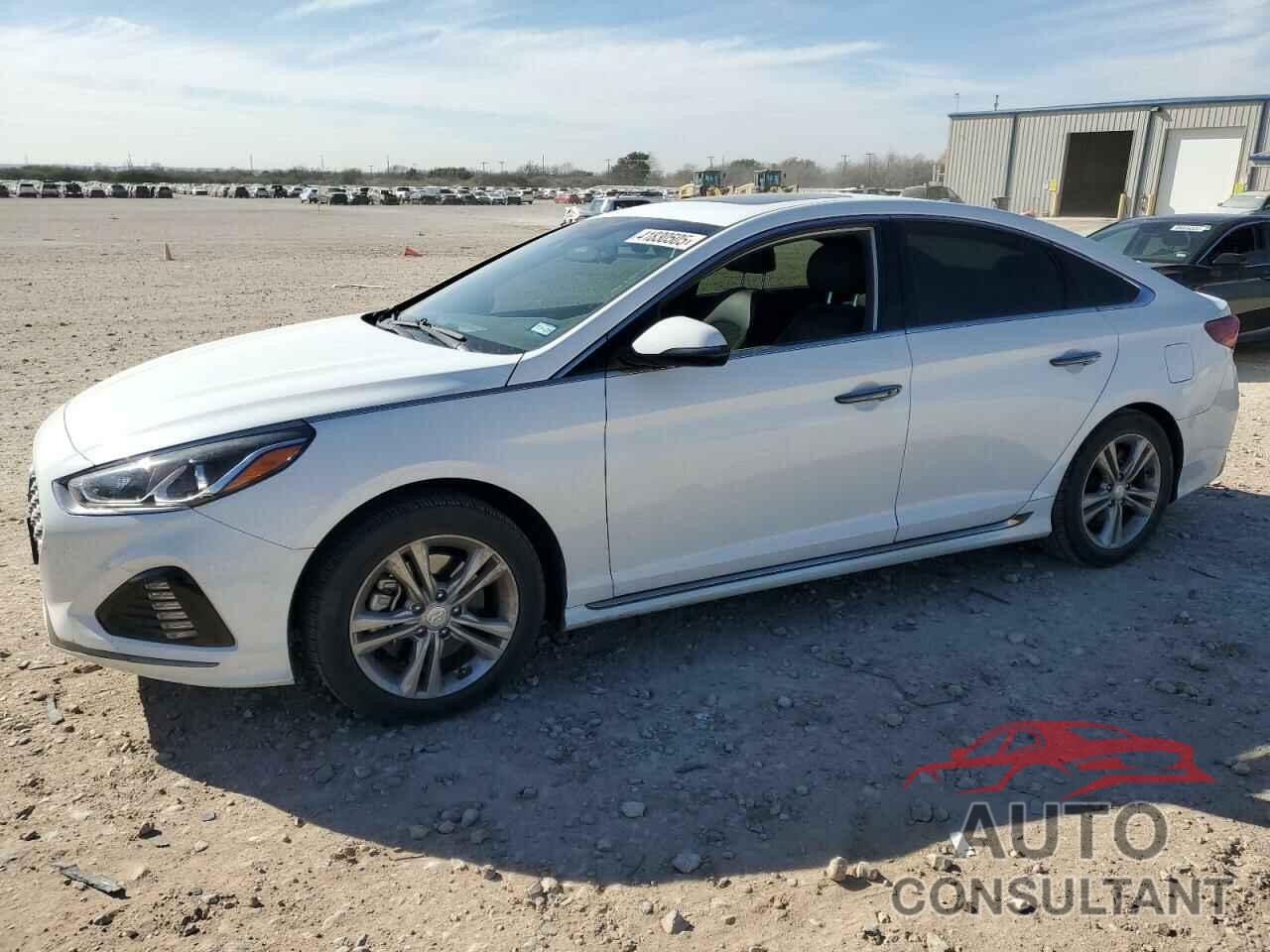 HYUNDAI SONATA 2019 - 5NPE34AF6KH821357