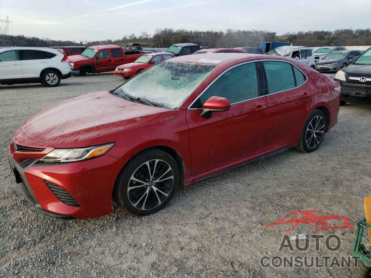 TOYOTA CAMRY 2019 - 4T1B11HK5KU175773
