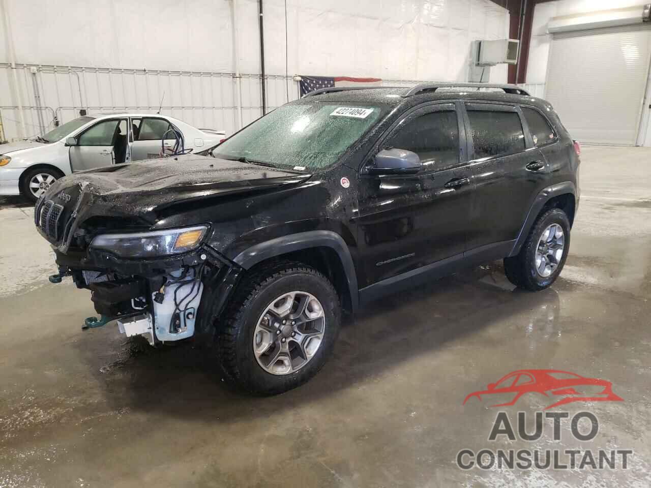 JEEP CHEROKEE 2019 - 1C4PJMBX1KD394326