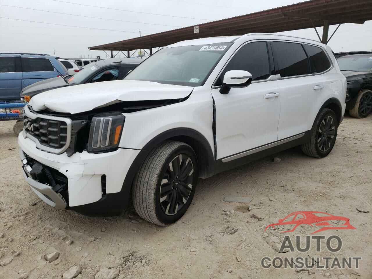 KIA TELLURIDE 2023 - 5XYP5DGC0PG377696