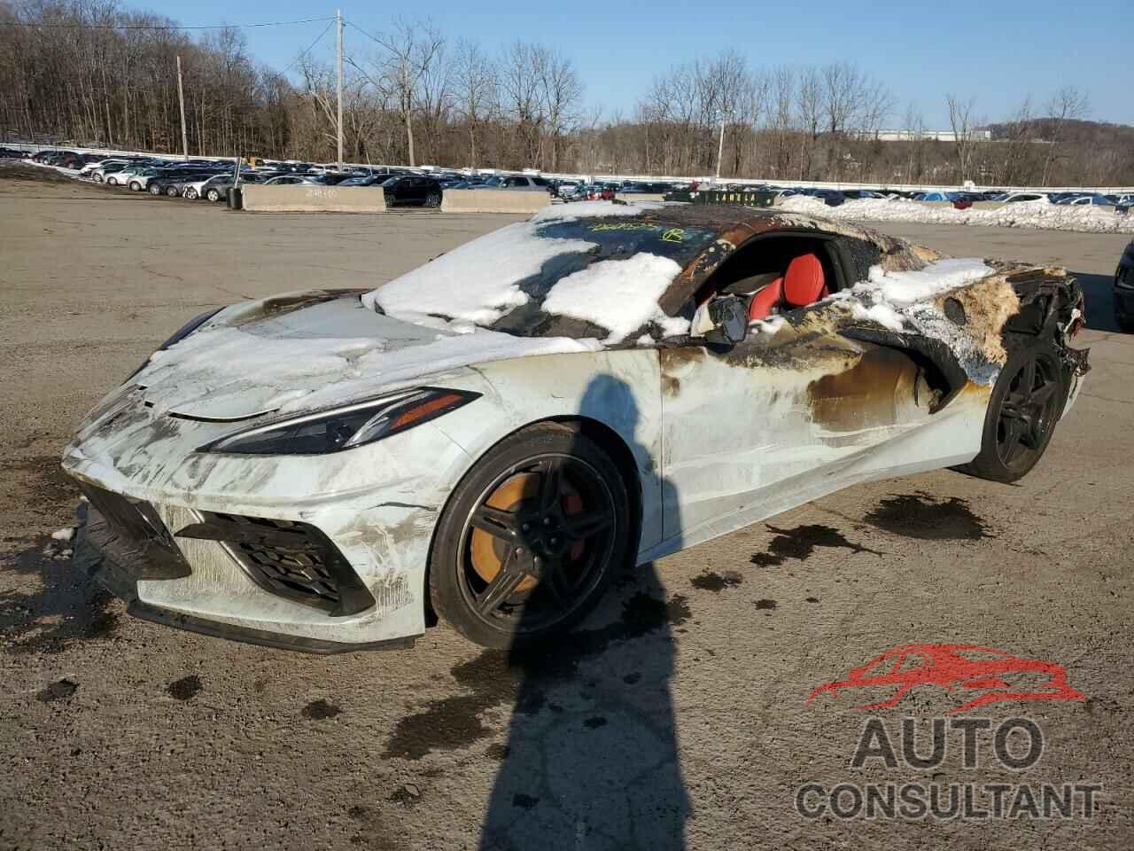 CHEVROLET CORVETTE 2020 - 1G1Y82D41L5104243