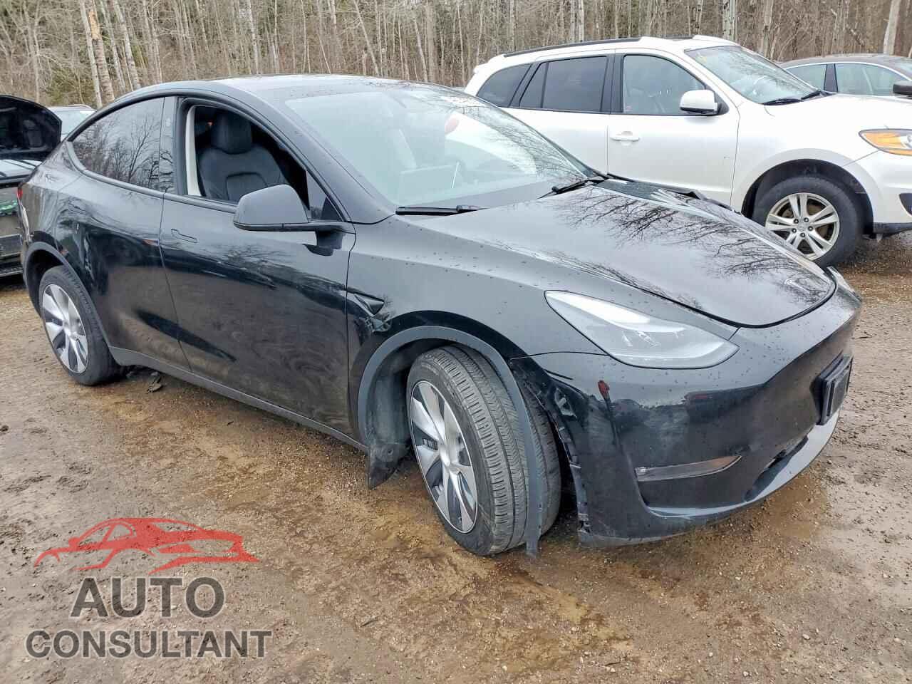 TESLA MODEL Y 2024 - 7SAYGDEE6RF042054