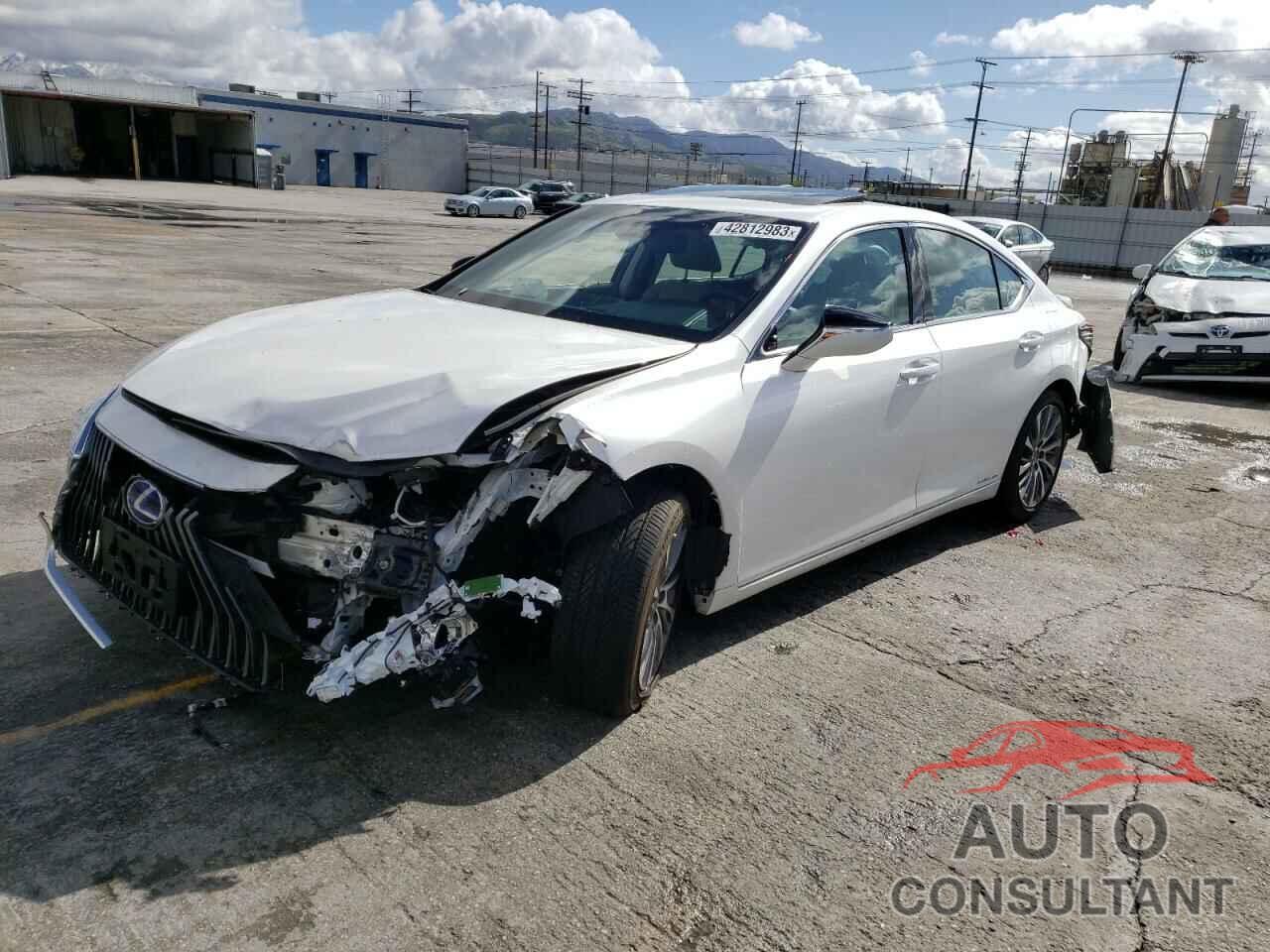 LEXUS ES300 2020 - 58AD21B13LU009848