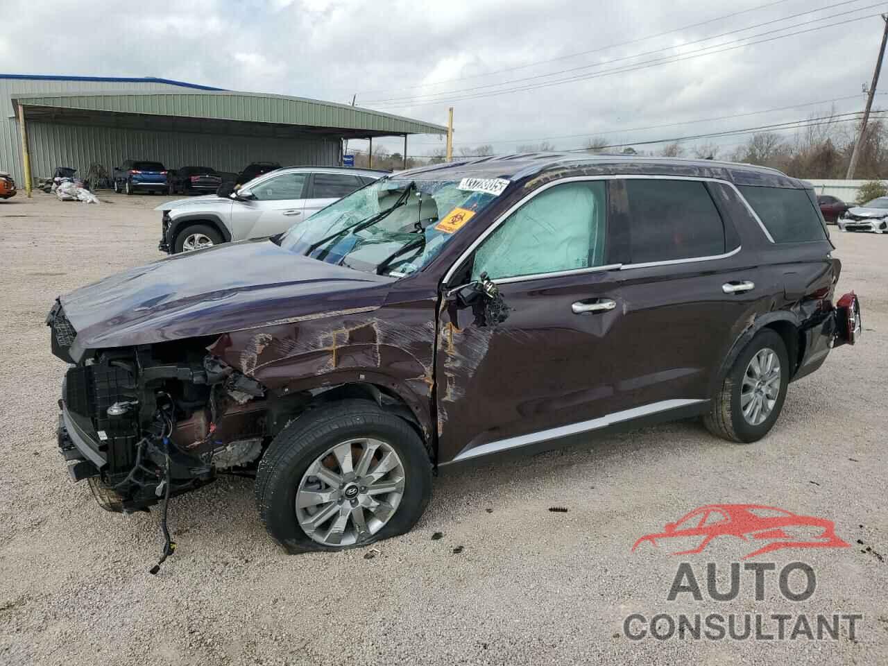 HYUNDAI PALISADE 2025 - KM8R24GE0SU849191