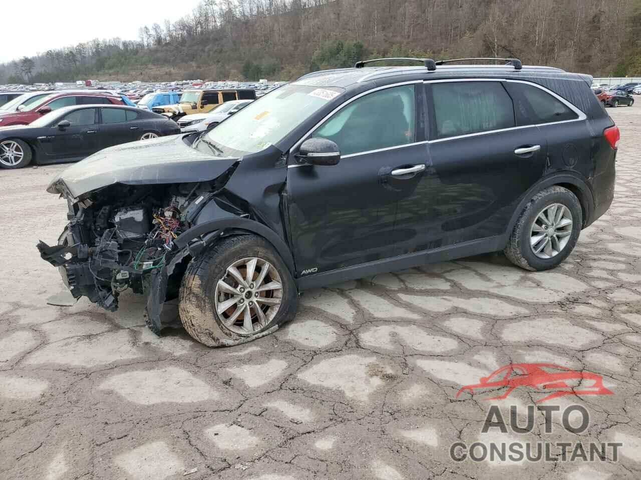 KIA SORENTO 2016 - 5XYPGDA36GG043031