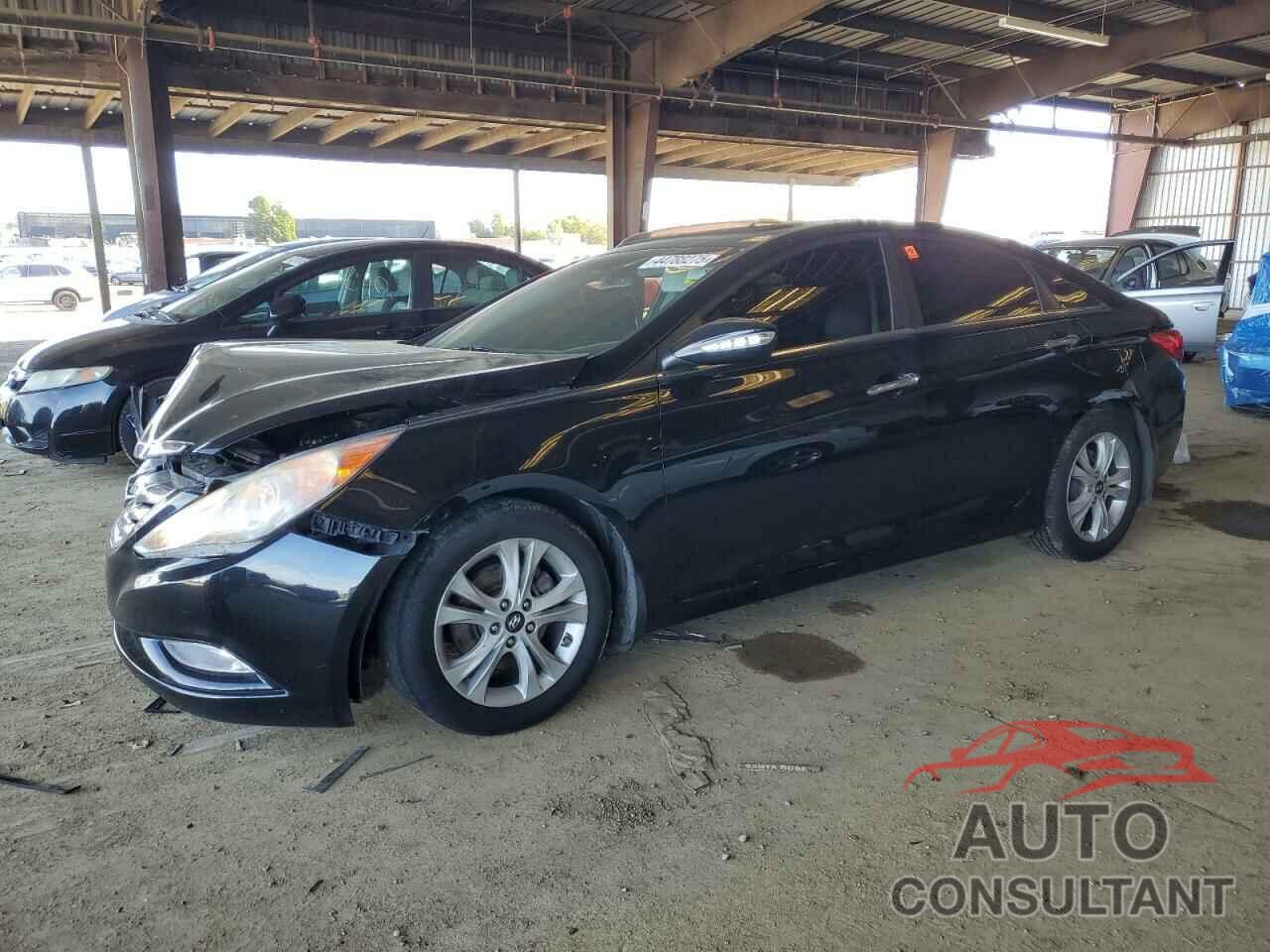 HYUNDAI SONATA 2011 - 5NPEC4AC5BH115387