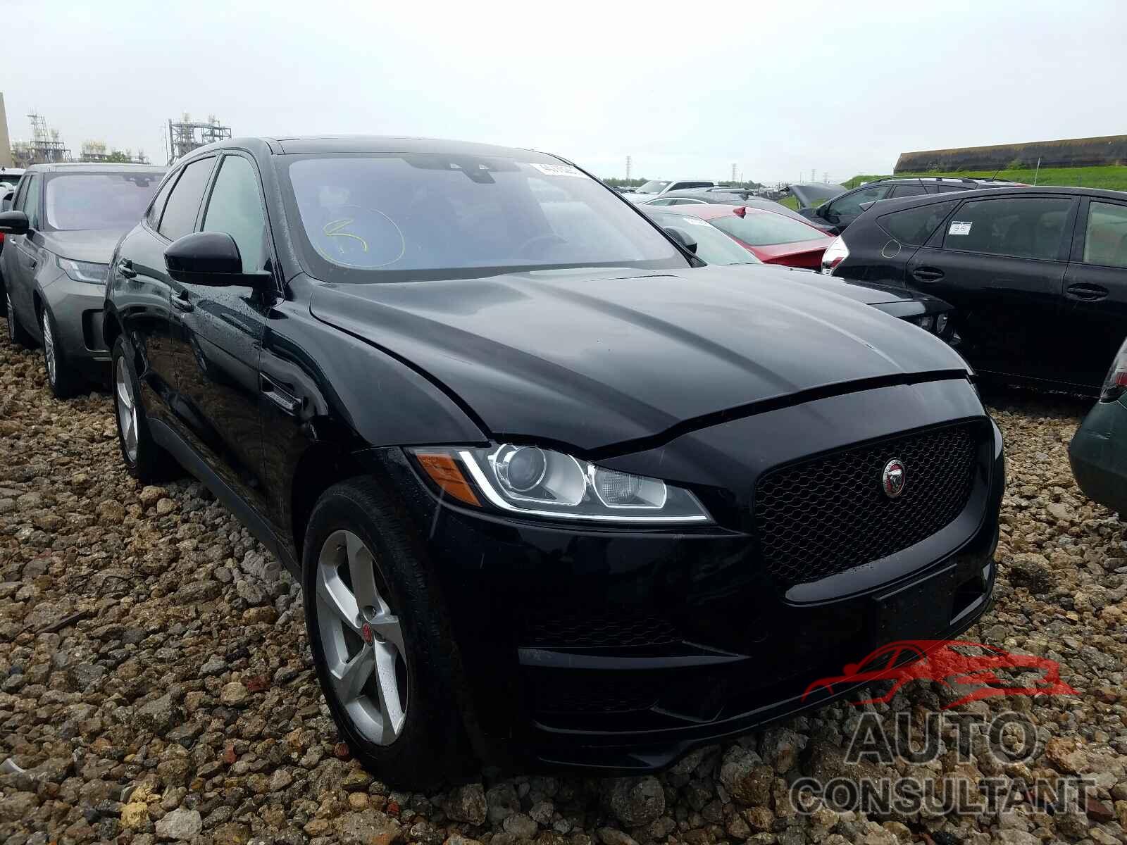 JAGUAR F-PACE 2019 - SADCJ2FX5KA606521