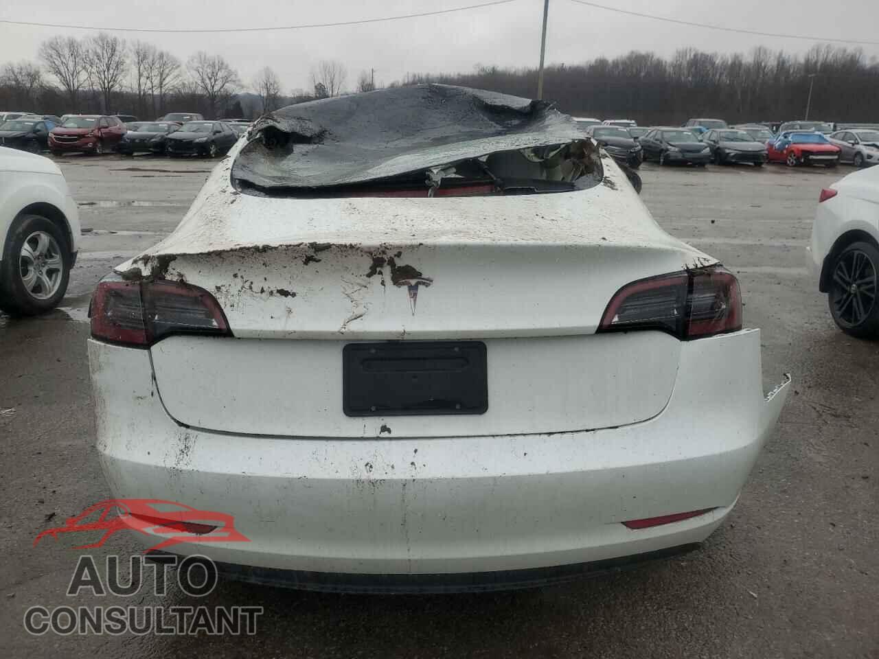 TESLA MODEL 3 2023 - 5YJ3E1EA0PF591304