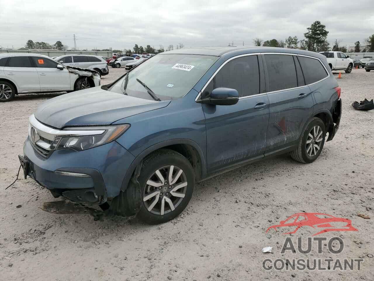 HONDA PILOT 2019 - 5FNYF5H53KB014154