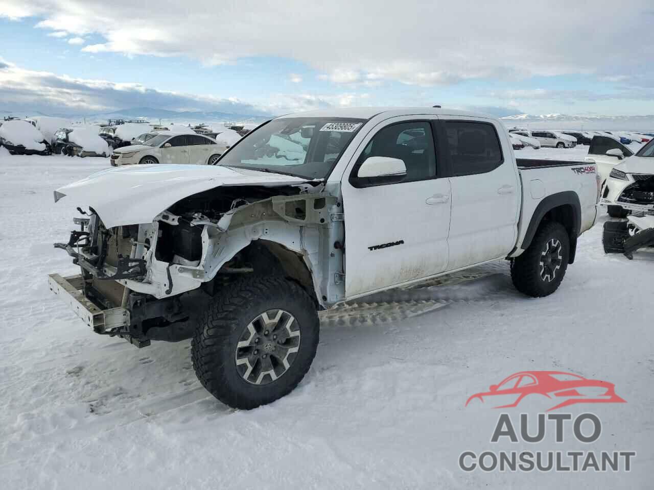 TOYOTA TACOMA 2020 - 5TFCZ5AN9LX231453