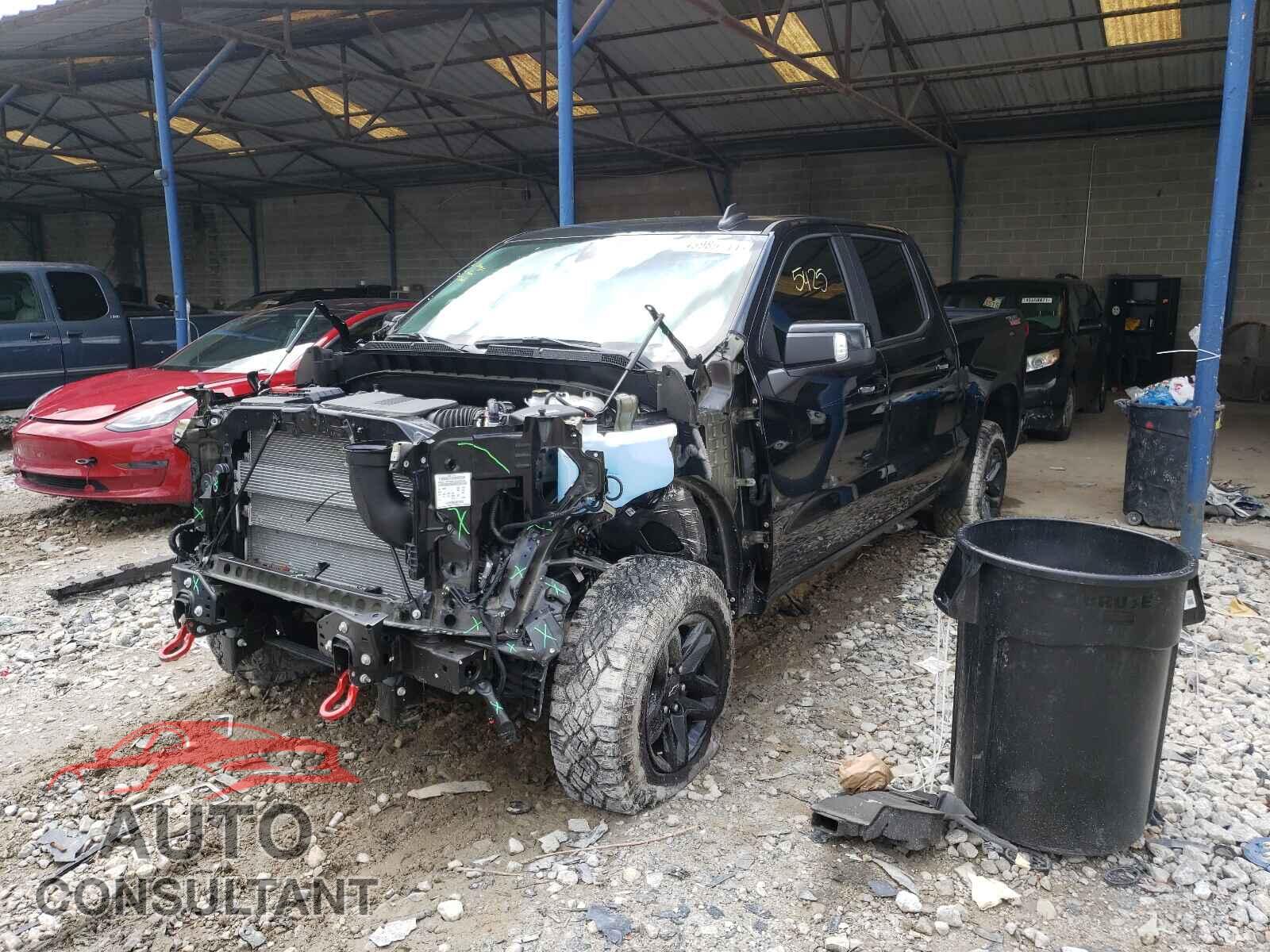 CHEVROLET SILVERADO 2020 - 3GCPYFEL2LG366281