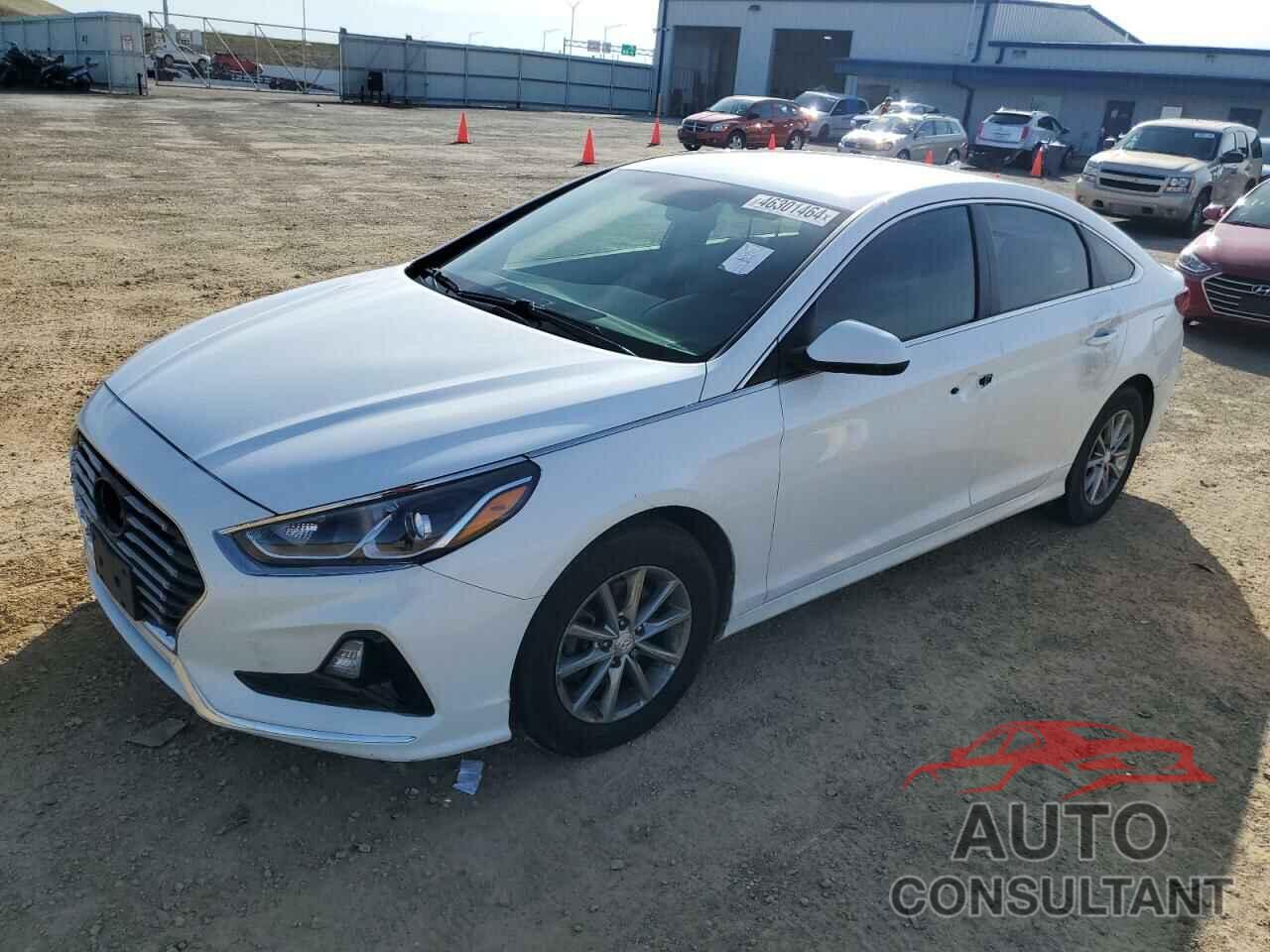 HYUNDAI SONATA 2019 - 5NPE24AF7KH751077