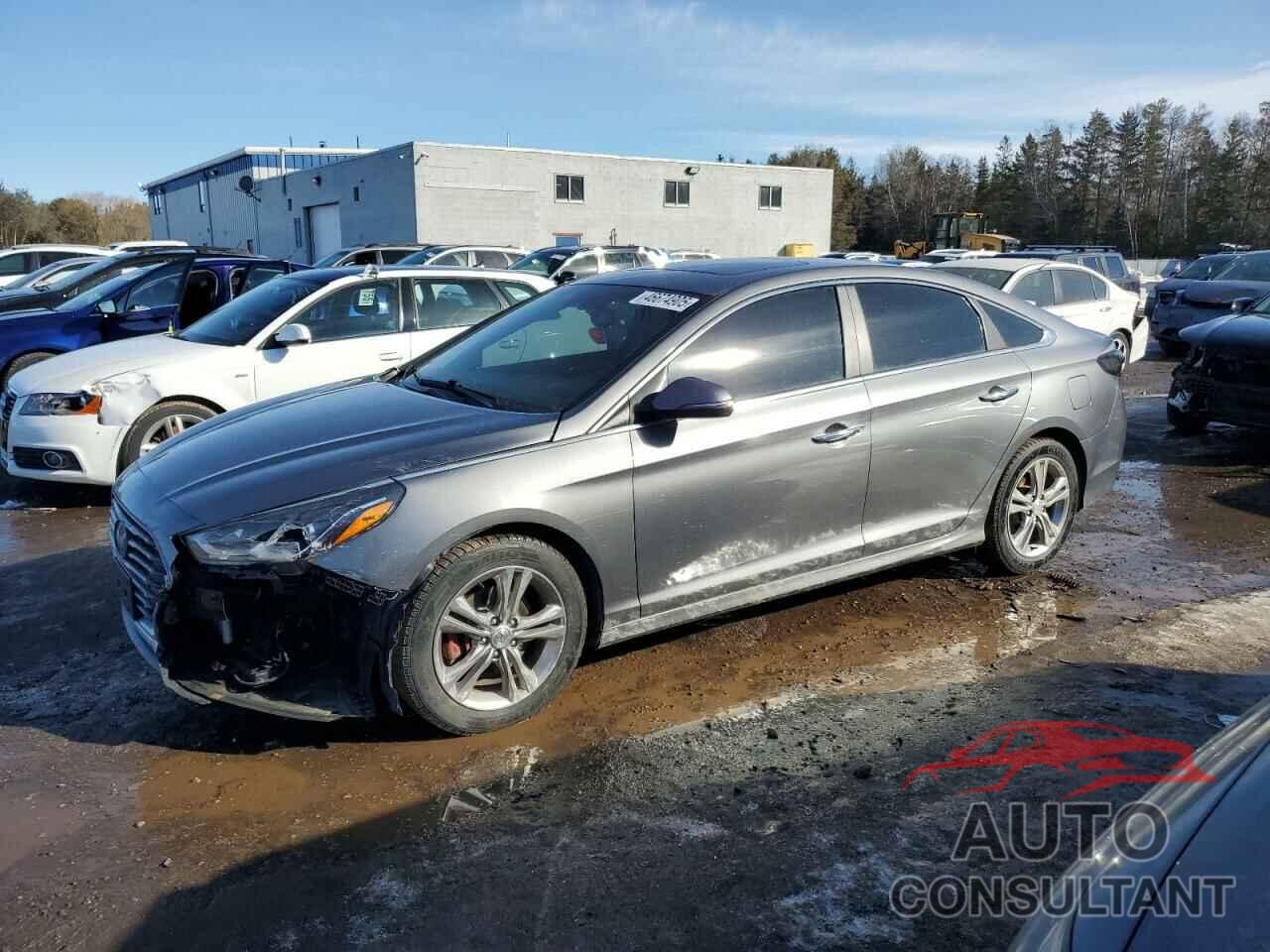 HYUNDAI SONATA 2019 - 5NPE34AF6KH801397