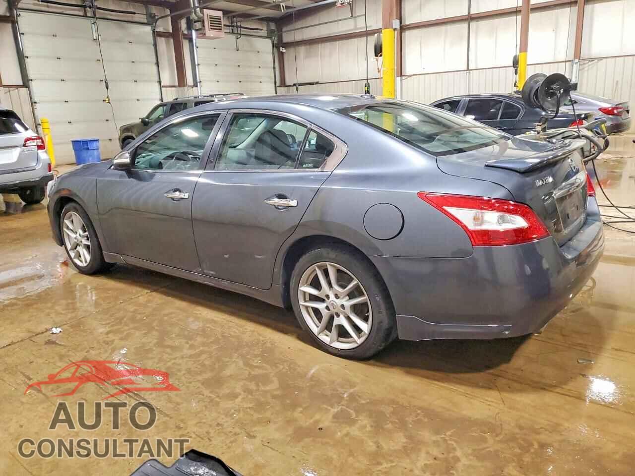 NISSAN MAXIMA 2011 - 1N4AA5AP9BC825777