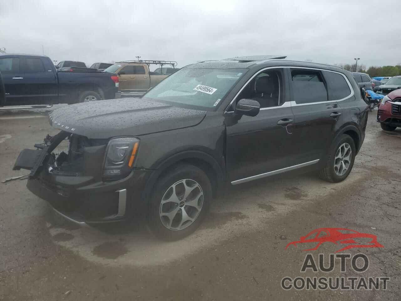 KIA TELLURIDE 2022 - 5XYP34HC1NG254460