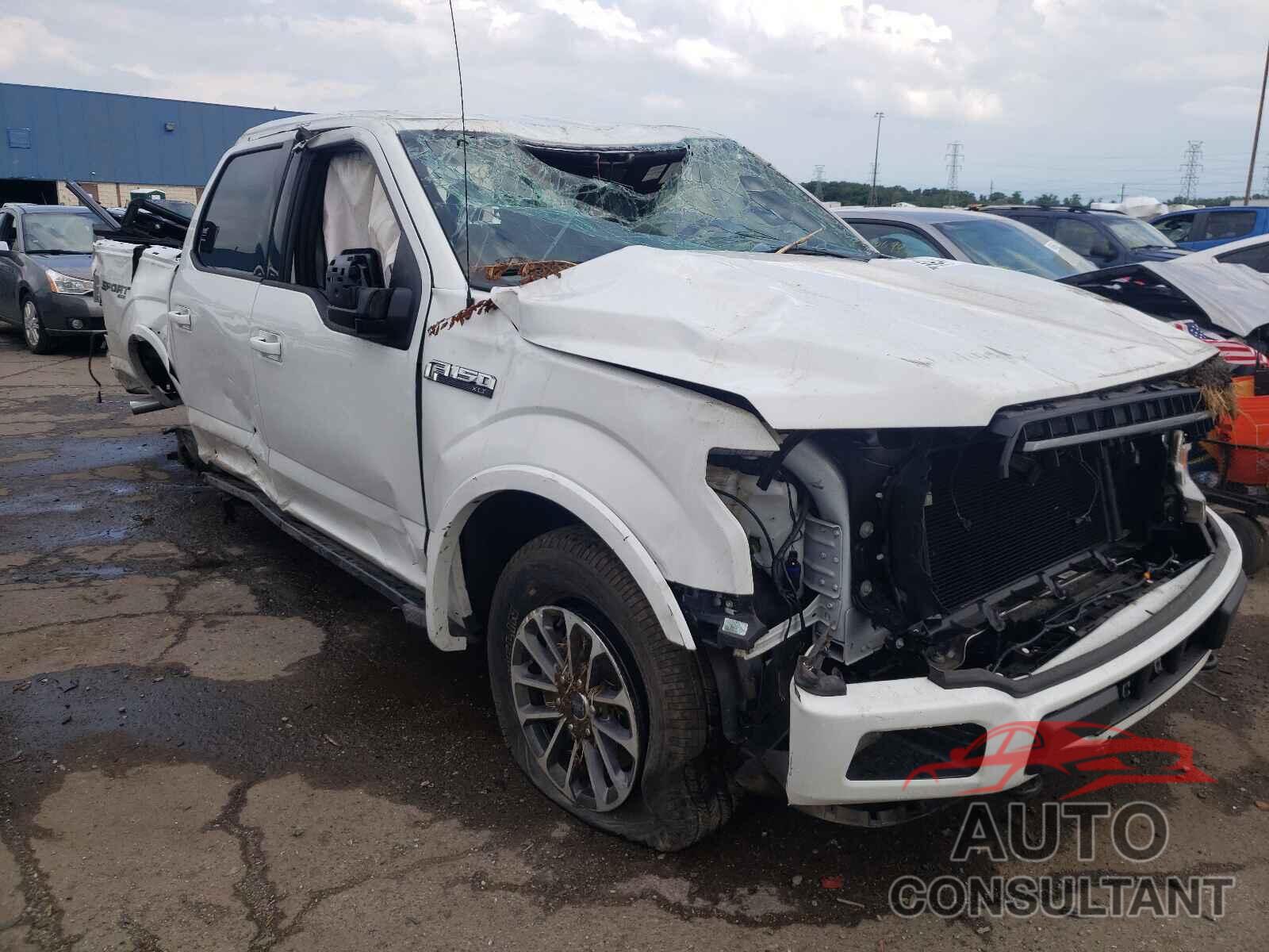 FORD F-150 2019 - 1FTEW1EP1KFD12943