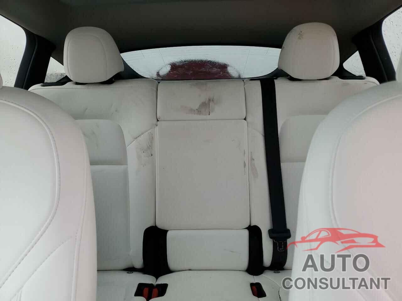 TESLA MODEL Y 2023 - 7SAYGAEE0PF890667