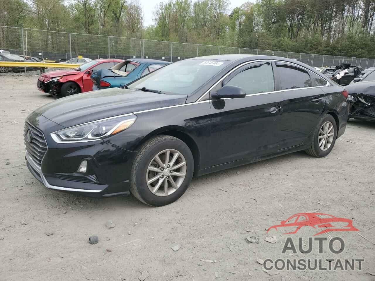 HYUNDAI SONATA 2019 - 5NPE24AF5KH819232