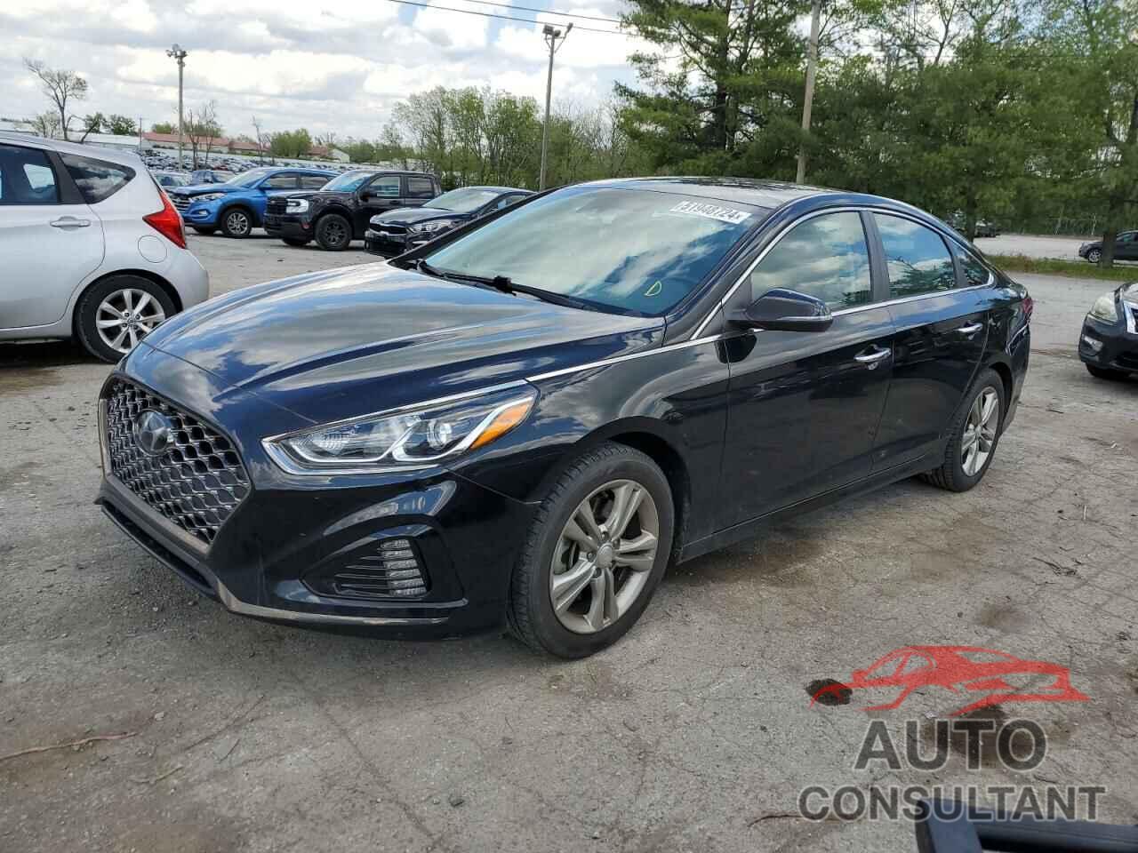 HYUNDAI SONATA 2019 - 5NPE34AF6KH793334