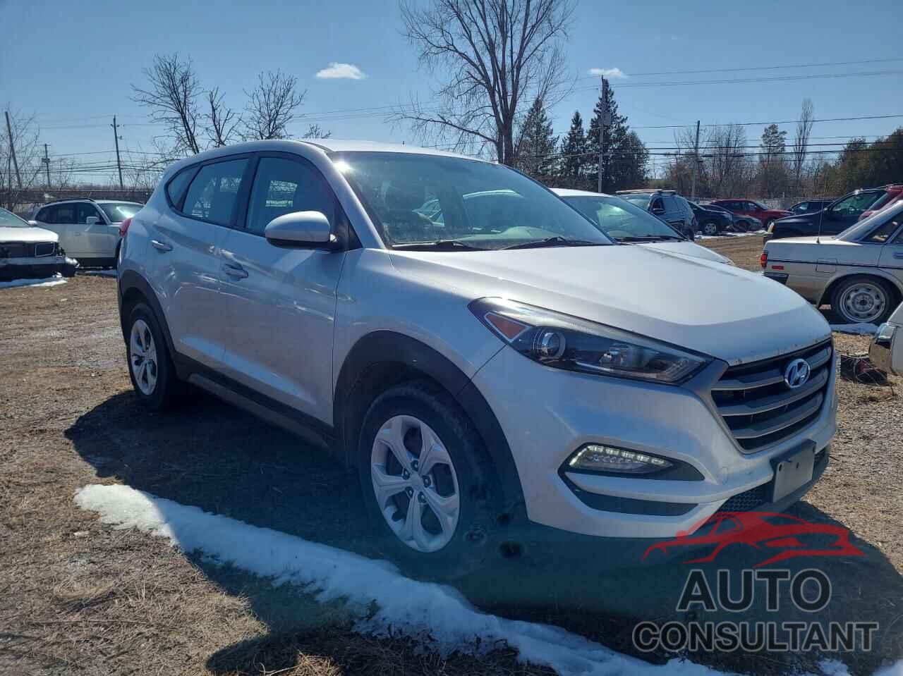 HYUNDAI TUCSON 2016 - KM8J23A41GU042743