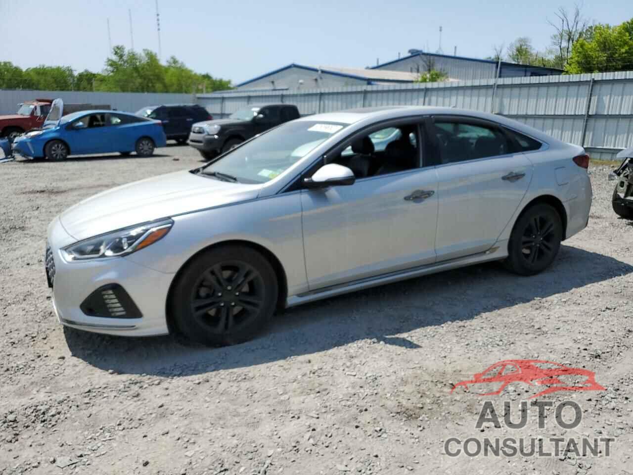 HYUNDAI SONATA 2019 - 5NPE34AF7KH732607