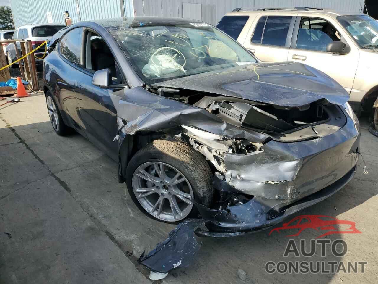 TESLA MODEL Y 2022 - 7SAYGAEE6NF325014