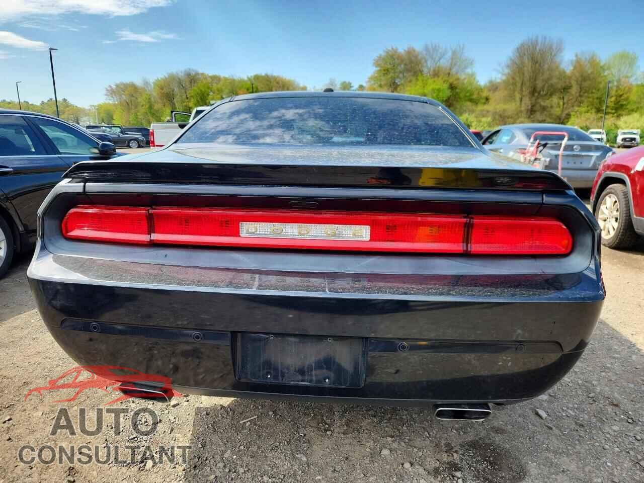 DODGE CHALLENGER 2014 - 2C3CDYBT0EH310518