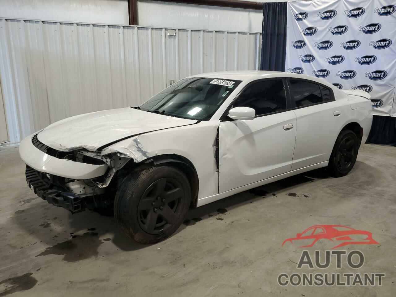 DODGE CHARGER 2019 - 2C3CDXAT2KH576047