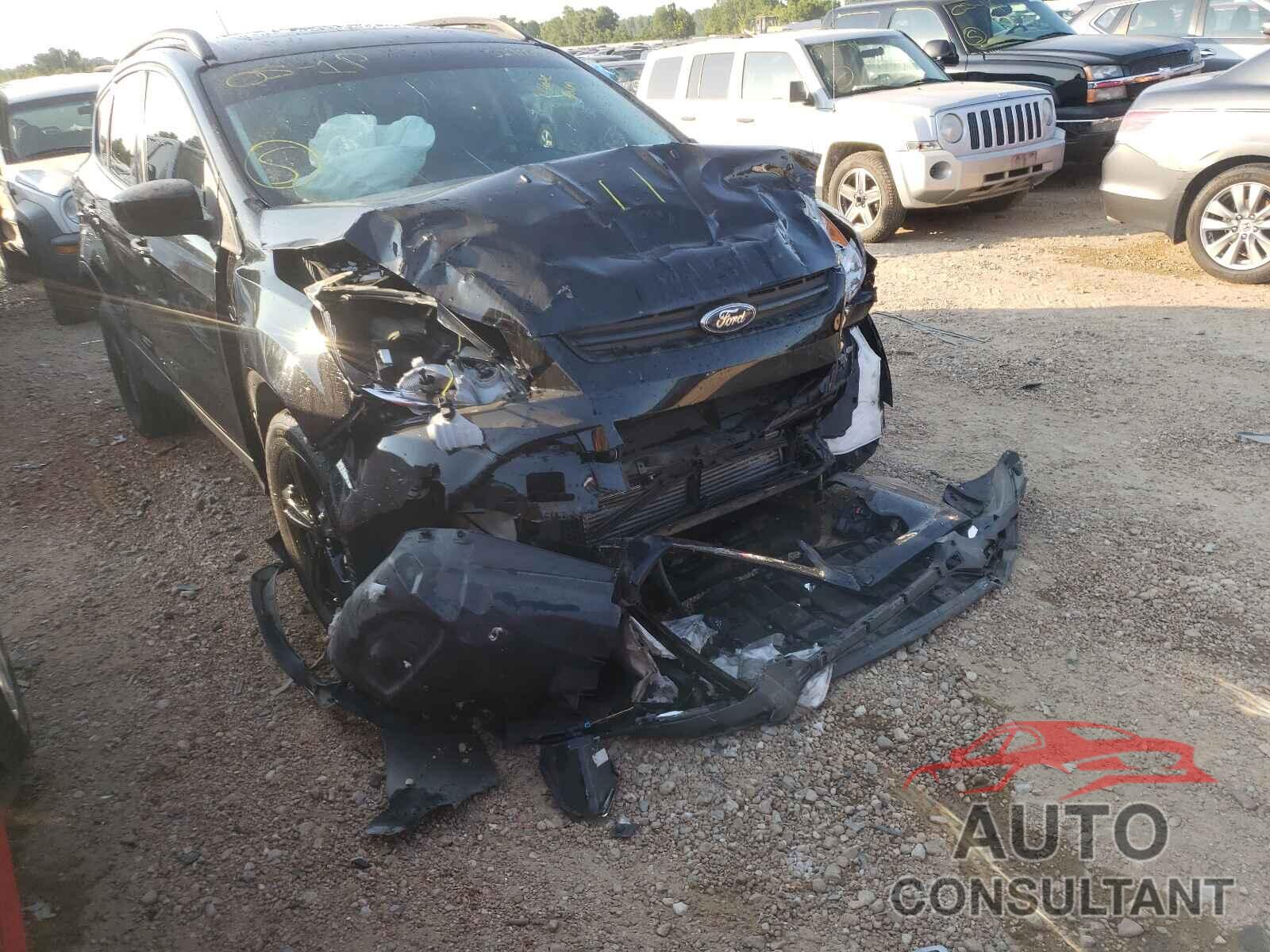 FORD ESCAPE 2016 - 1FMCU0GXXGUB13604