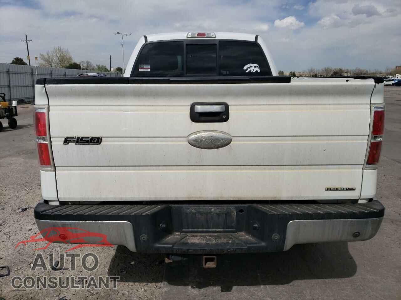 FORD F-150 2012 - 1FTFX1EF8CFA01181