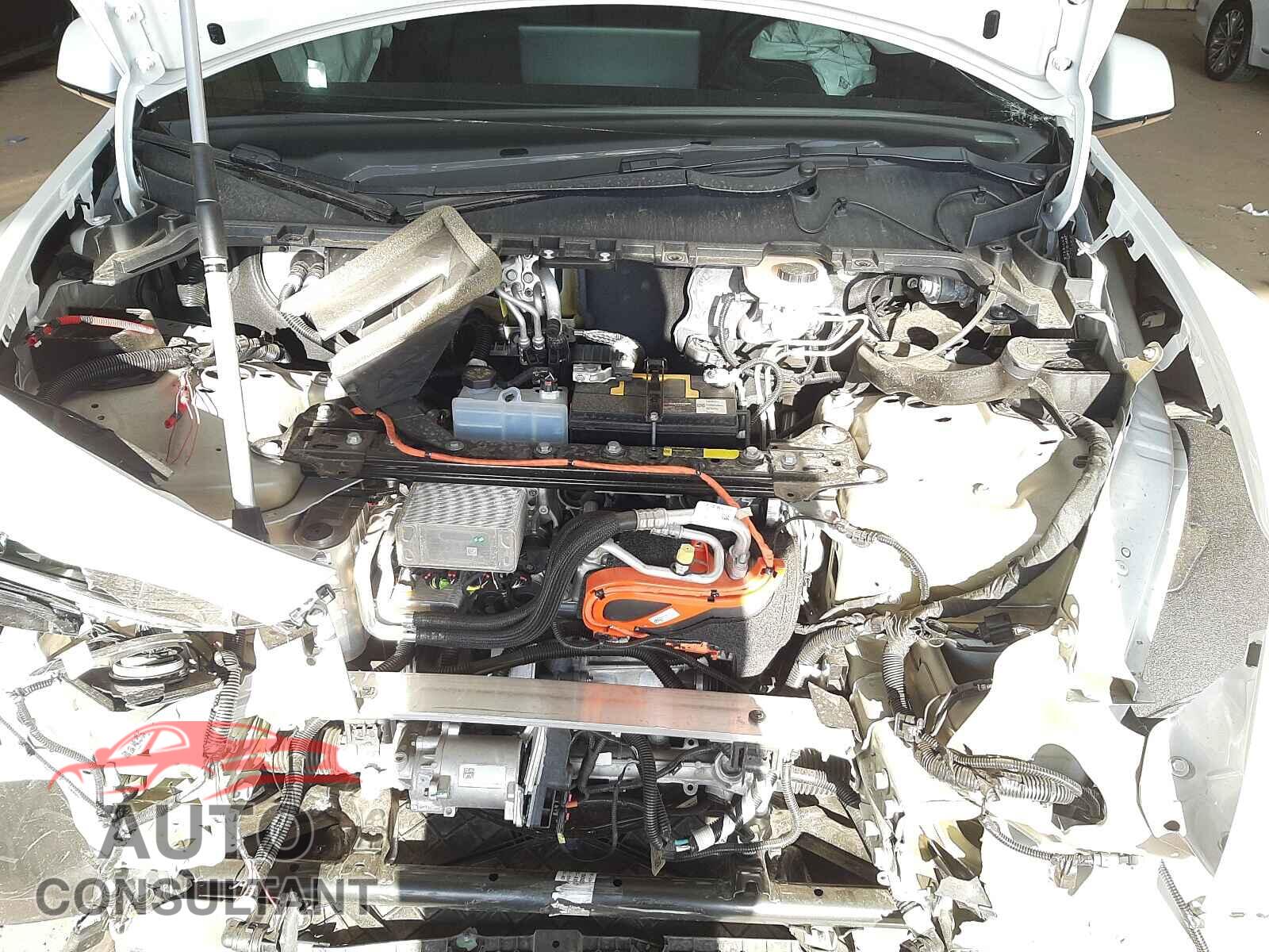 TESLA MODEL Y 2021 - 5YJYGDEE6MF159350