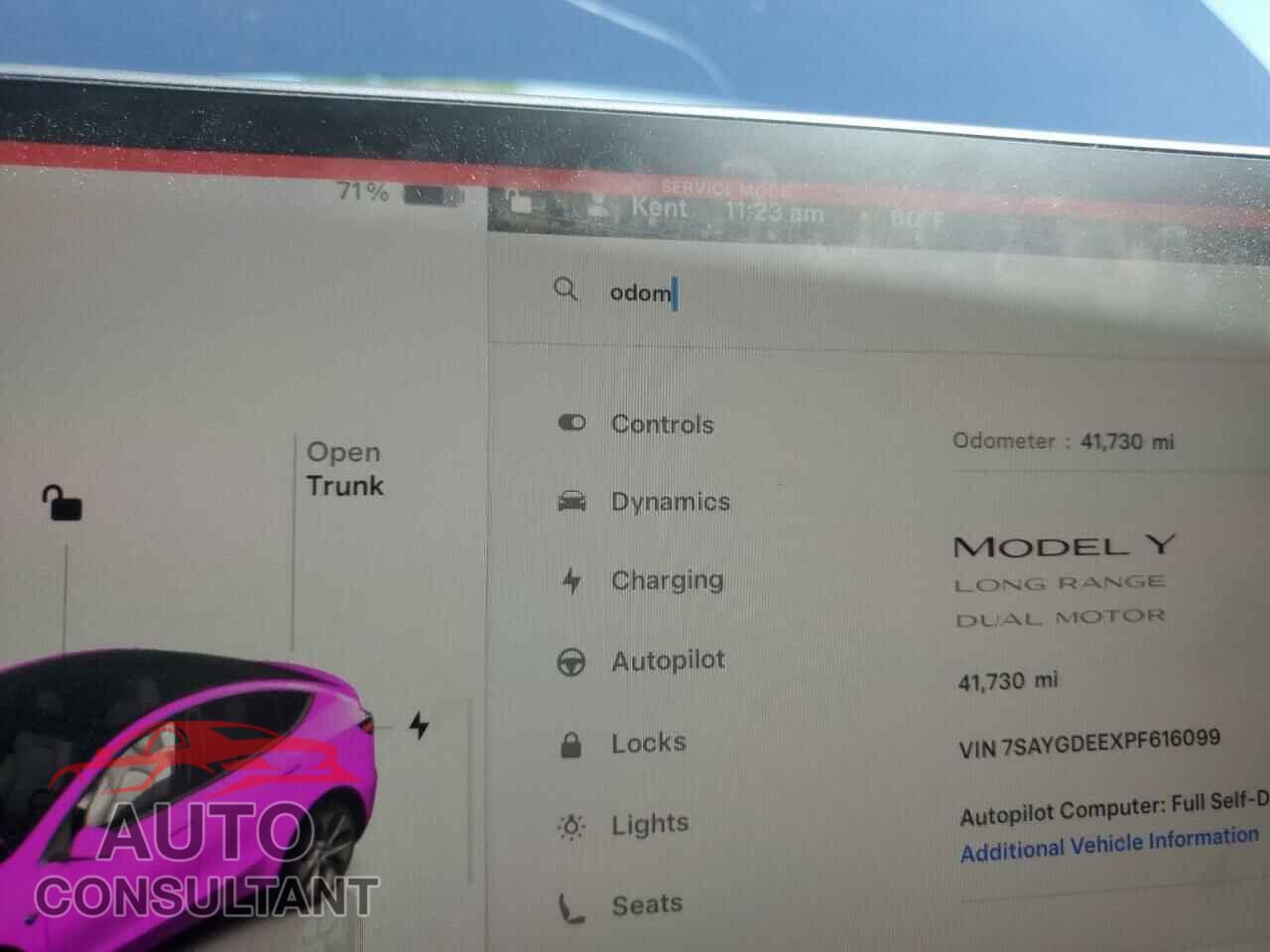TESLA MODEL Y 2023 - 7SAYGDEEXPF616099