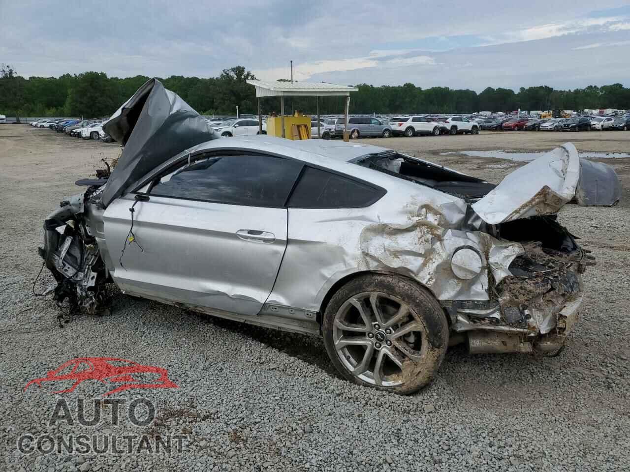 FORD MUSTANG 2019 - 1FA6P8CFXK5157177